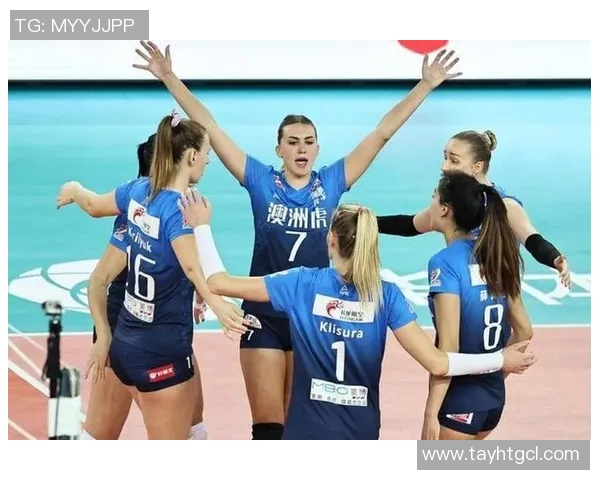 深圳排球队心理素质引发热议球迷与专家的不同声音分析